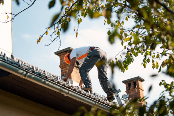 Best Roof Gutter Cleaning  in Keego Harbor, MI